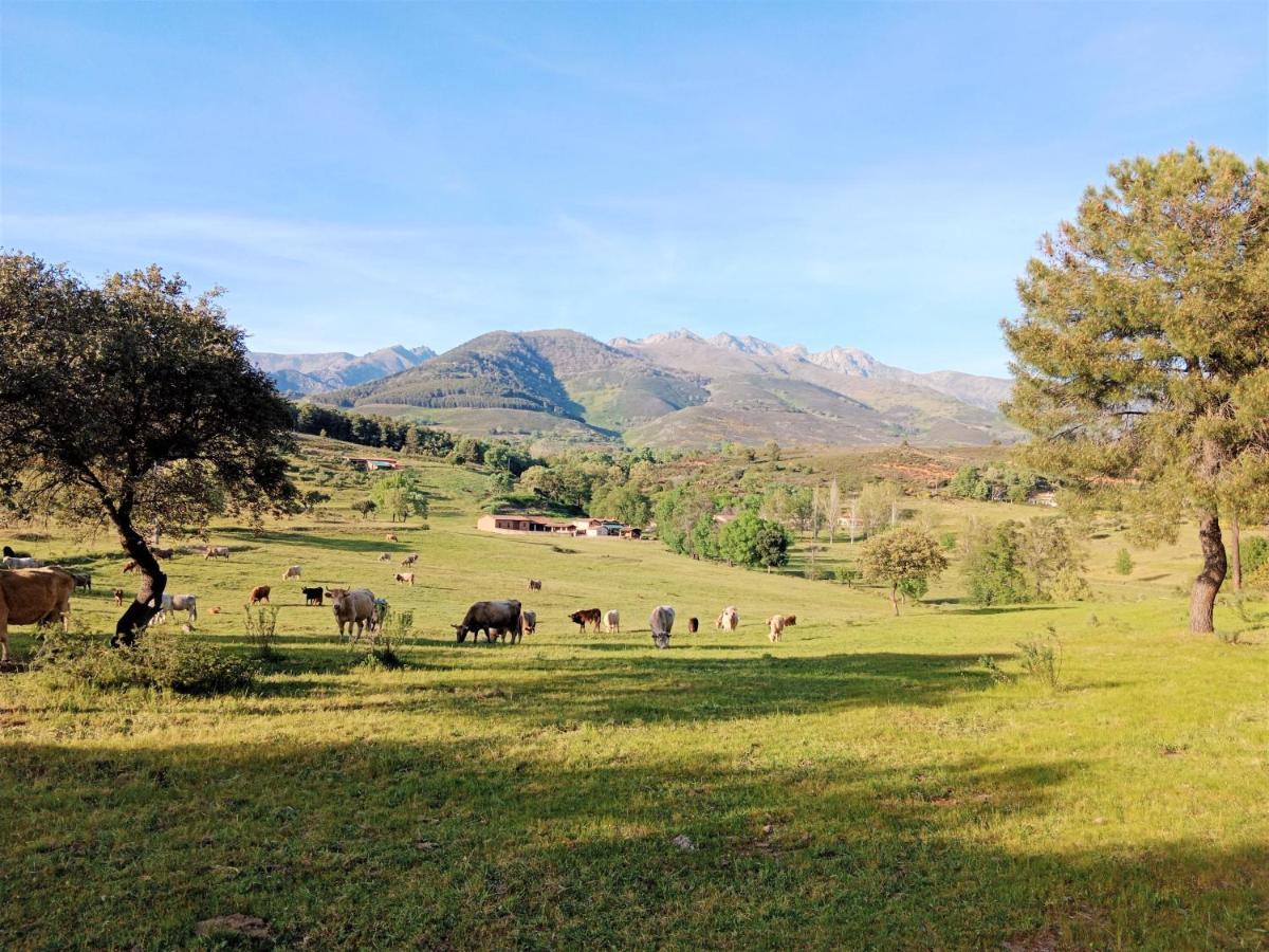 Casa Rural - Complejo El Tejar De Las Canadas Candeleda Luaran gambar