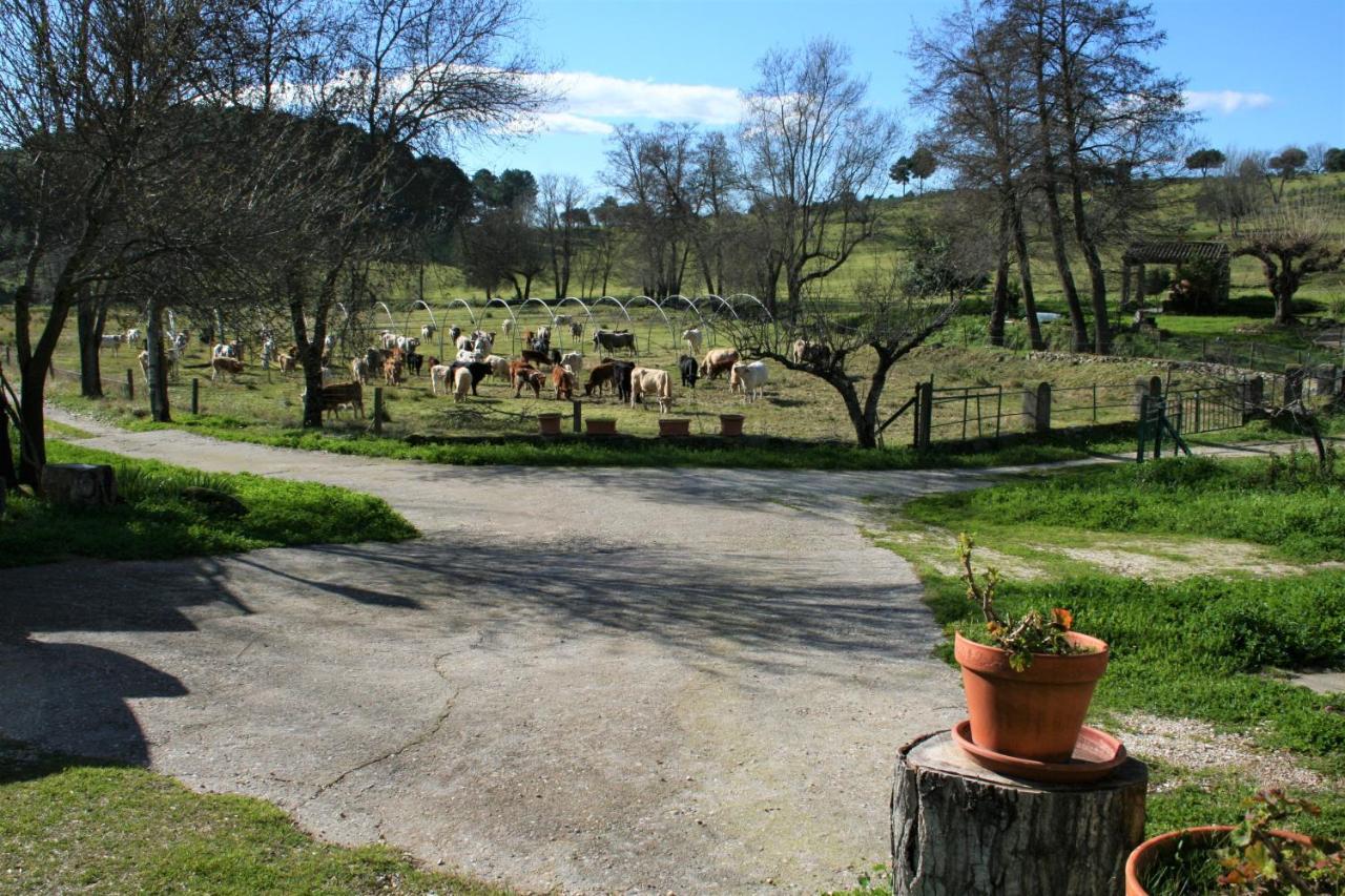 Casa Rural - Complejo El Tejar De Las Canadas Candeleda Luaran gambar