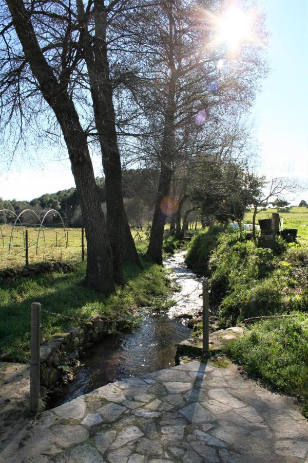 Casa Rural - Complejo El Tejar De Las Canadas Candeleda Luaran gambar